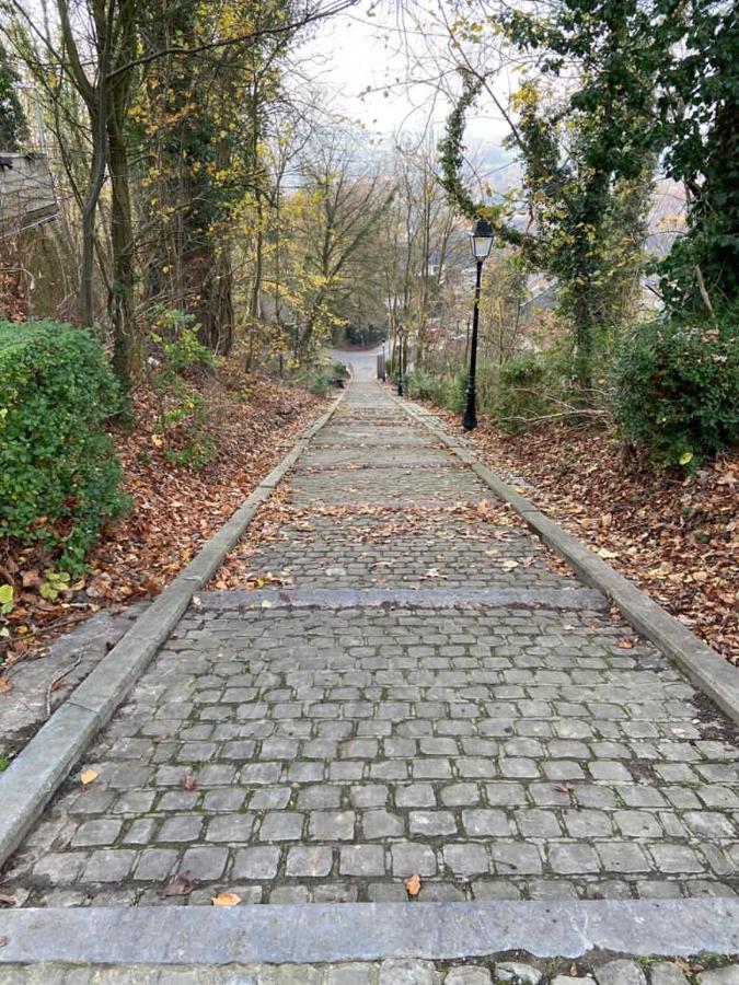 Vakantiewoning De Kassei Geraardsbergen Max 12Personen Exteriér fotografie